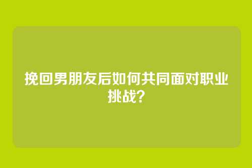 挽回男朋友后如何共同面对职业挑战？