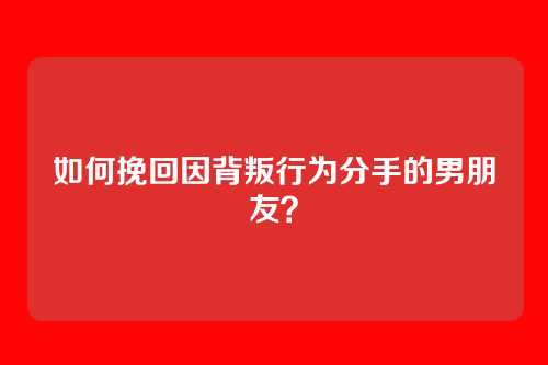 如何挽回因背叛行为分手的男朋友？