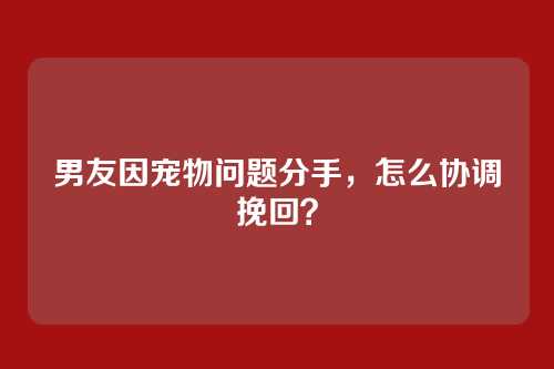 男友因宠物问题分手，怎么协调挽回？