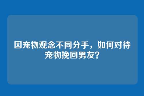 因宠物观念不同分手，如何对待宠物挽回男友？