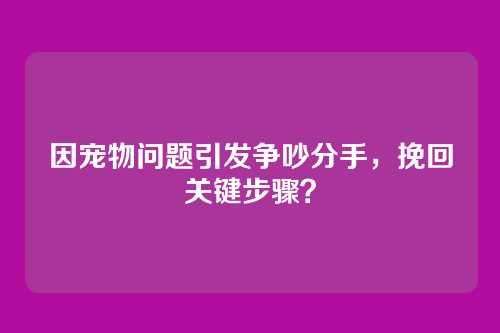 因宠物问题引发争吵分手，挽回关键步骤？