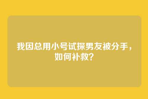 我因总用小号试探男友被分手，如何补救？