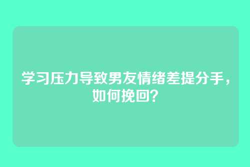 学习压力导致男友情绪差提分手，如何挽回？