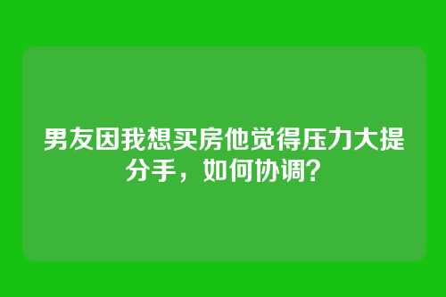 男友因我想买房他觉得压力大提分手，如何协调？