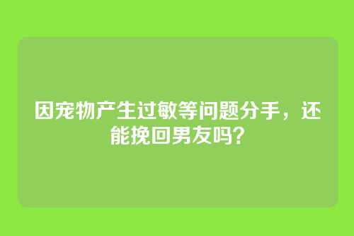 因宠物产生过敏等问题分手，还能挽回男友吗？