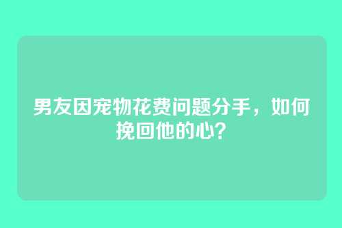 男友因宠物花费问题分手，如何挽回他的心？