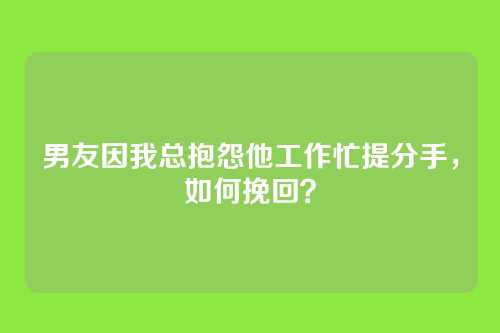 男友因我总抱怨他工作忙提分手，如何挽回？