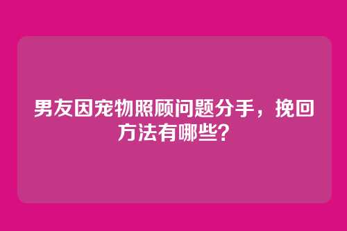 男友因宠物照顾问题分手，挽回方法有哪些？