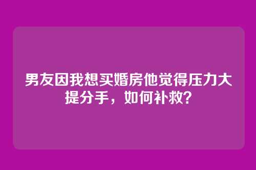 男友因我想买婚房他觉得压力大提分手，如何补救？