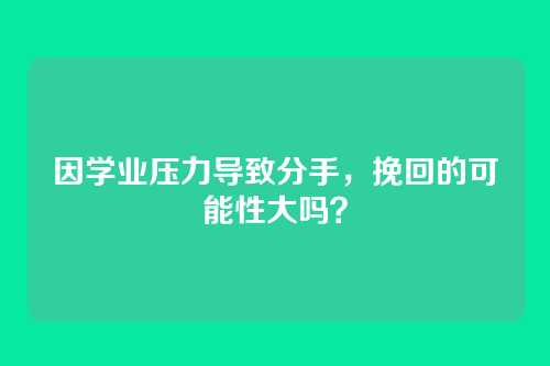因学业压力导致分手，挽回的可能性大吗？