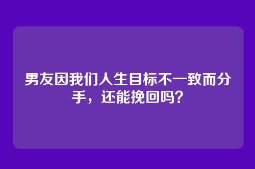 男友因我们人生目标不一致而分手，还能挽回吗？