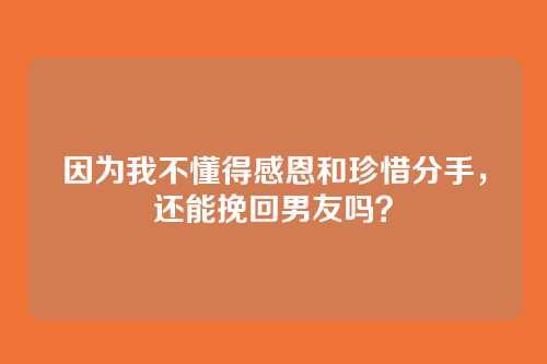 因为我不懂得感恩和珍惜分手，还能挽回男友吗？