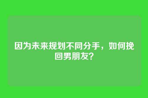 因为未来规划不同分手，如何挽回男朋友？