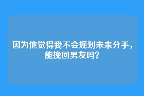因为他觉得我不会规划未来分手，能挽回男友吗？