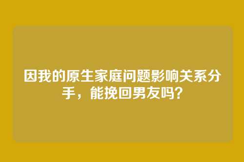 因我的原生家庭问题影响关系分手，能挽回男友吗？
