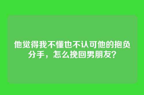 他觉得我不懂也不认可他的抱负分手，怎么挽回男朋友？