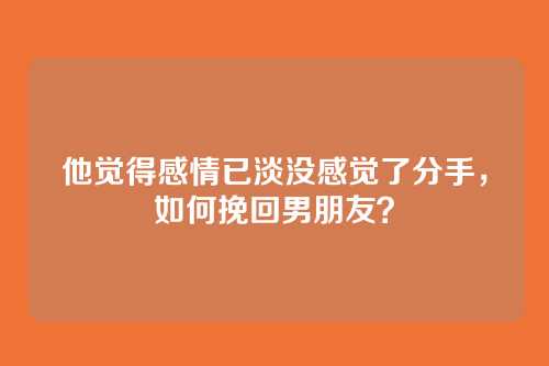 他觉得感情已淡没感觉了分手，如何挽回男朋友？