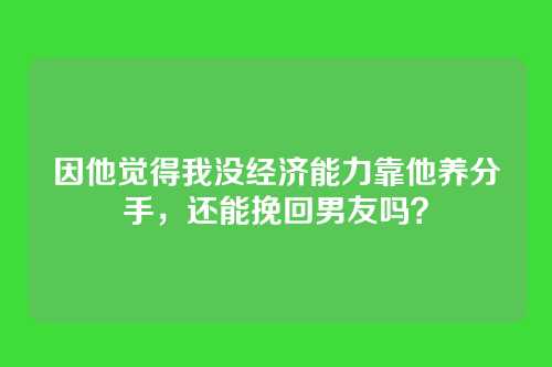 因他觉得我没经济能力靠他养分手，还能挽回男友吗？