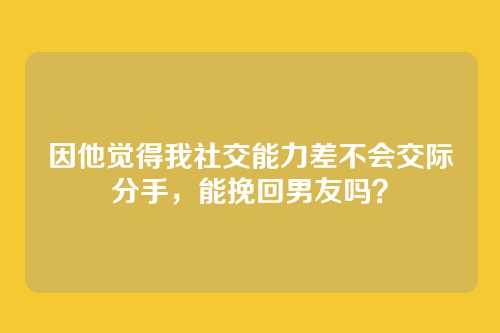 因他觉得我社交能力差不会交际分手，能挽回男友吗？