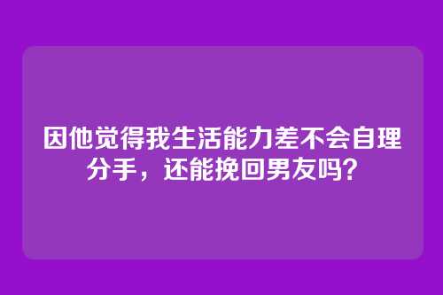 因他觉得我生活能力差不会自理分手，还能挽回男友吗？