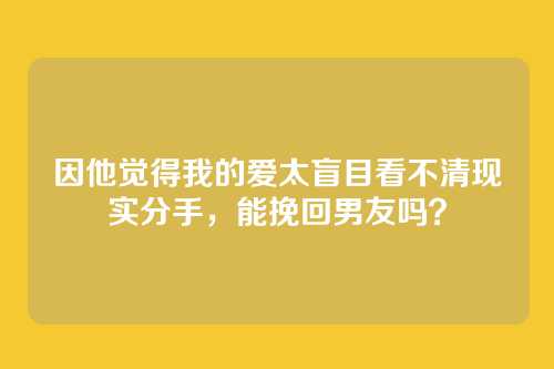 因他觉得我的爱太盲目看不清现实分手，能挽回男友吗？