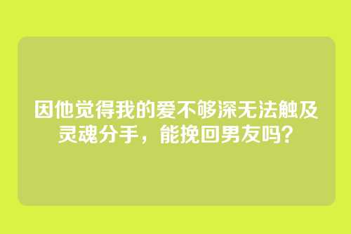 因他觉得我的爱不够深无法触及灵魂分手，能挽回男友吗？
