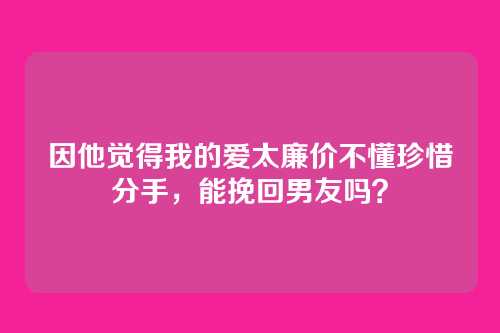 因他觉得我的爱太廉价不懂珍惜分手，能挽回男友吗？
