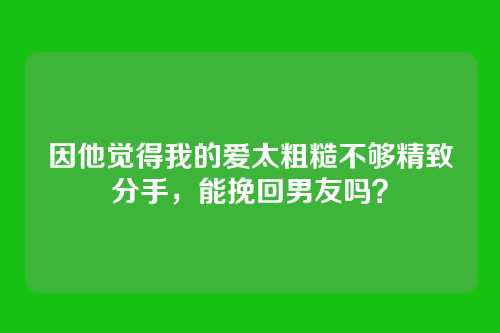 因他觉得我的爱太粗糙不够精致分手，能挽回男友吗？