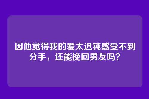 因他觉得我的爱太迟钝感受不到分手，还能挽回男友吗？