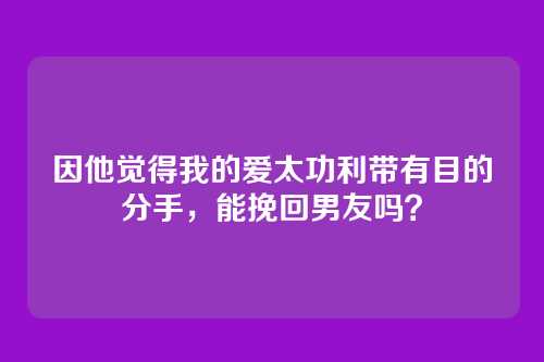 因他觉得我的爱太功利带有目的分手，能挽回男友吗？