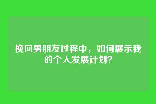 挽回男朋友过程中，如何展示我的个人发展计划？