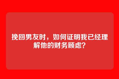 挽回男友时，如何证明我已经理解他的财务顾虑？