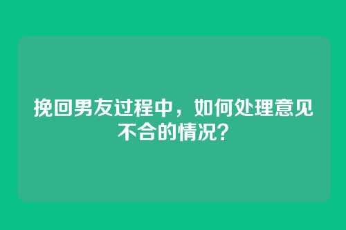 挽回男友过程中，如何处理意见不合的情况？