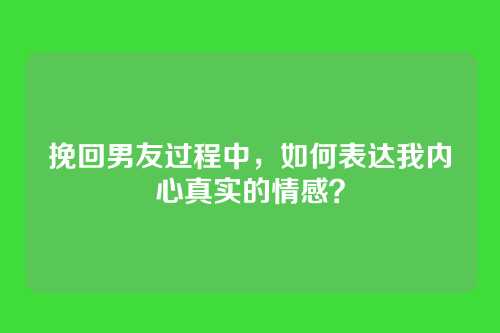 挽回男友过程中，如何表达我内心真实的情感？