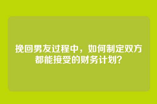 挽回男友过程中，如何制定双方都能接受的财务计划？