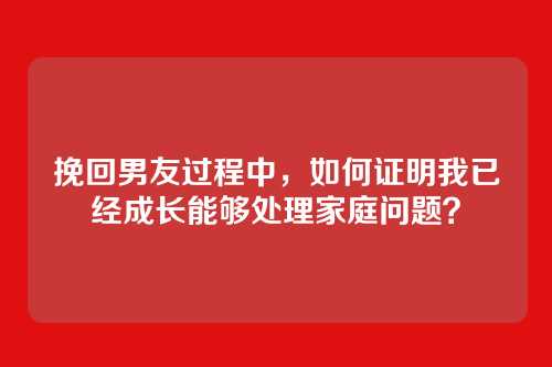 挽回男友过程中，如何证明我已经成长能够处理家庭问题？
