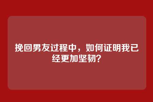 挽回男友过程中，如何证明我已经更加坚韧？
