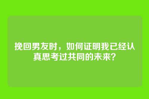 挽回男友时，如何证明我已经认真思考过共同的未来？