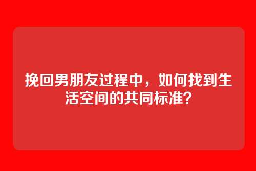 挽回男朋友过程中，如何找到生活空间的共同标准？