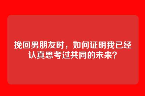 挽回男朋友时，如何证明我已经认真思考过共同的未来？