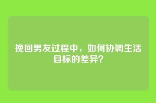 挽回男友过程中，如何协调生活目标的差异？