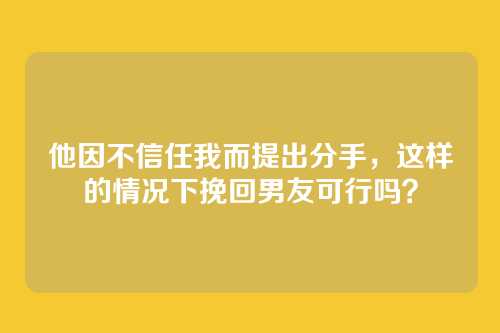 他因不信任我而提出分手，这样的情况下挽回男友可行吗？