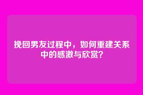 挽回男友过程中,如何重建关系中的感激与欣赏?