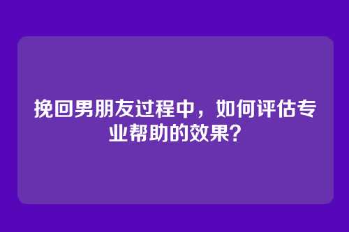 挽回男朋友过程中，如何评估专业帮助的效果？