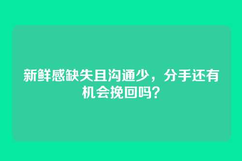 新鲜感缺失且沟通少,分手还有机会挽回吗?