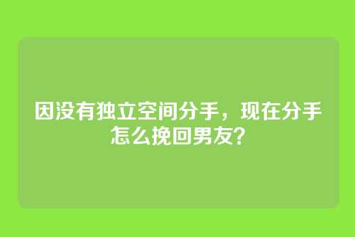 因没有独立空间分手，现在分手怎么挽回男友？