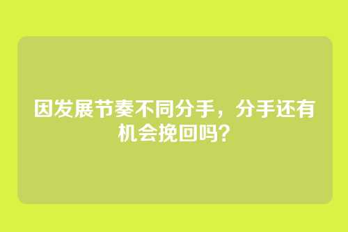 因发展节奏不同分手，分手还有机会挽回吗？