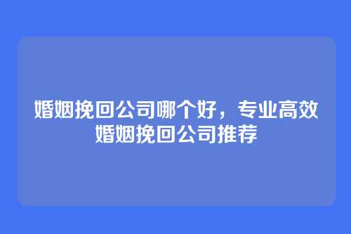 婚姻挽回公司哪个好，专业高效婚姻挽回公司推荐