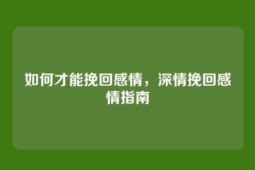如何才能挽回感情，深情挽回感情指南