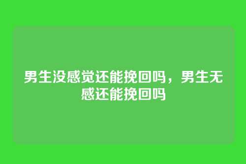男生没感觉还能挽回吗,男生无感还能挽回吗